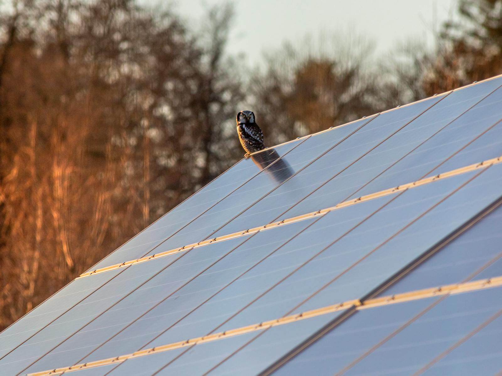 Energia Solar para Casas